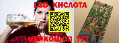 гашик Моздок