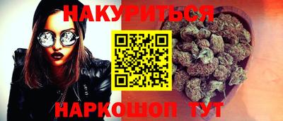 гашик Моздок