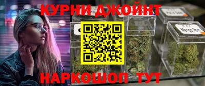 гашик Моздок