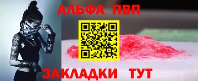 гашик Моздок