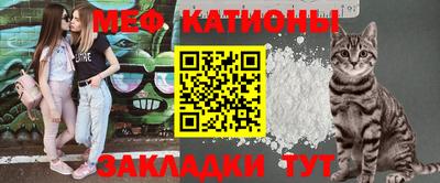 гашик Моздок