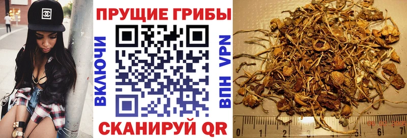 Галлюциногенные грибы Cubensis что такое наркотик Южноуральск